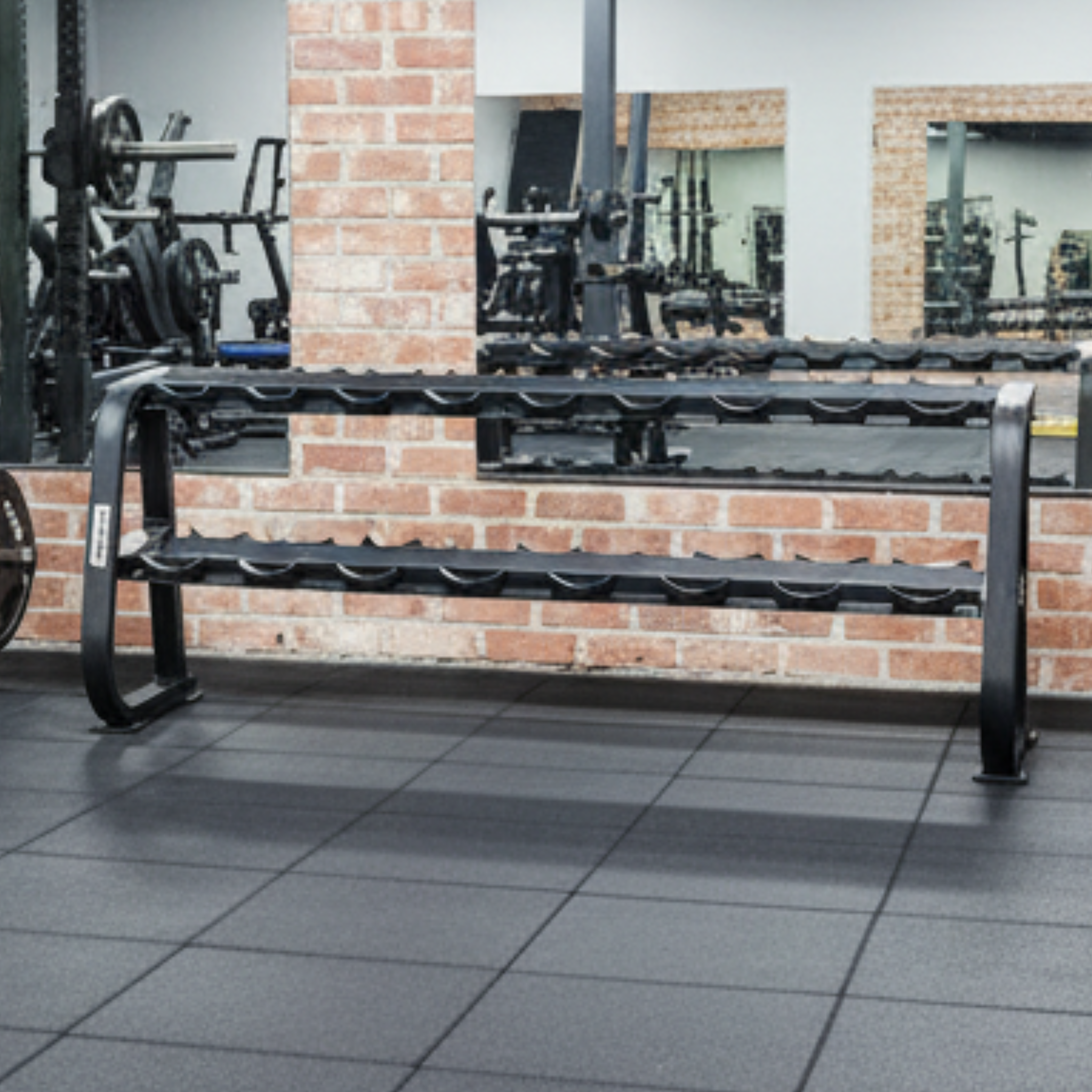 Karnage 2-Tier Dumbbell Storage Rack - 10 Pairs